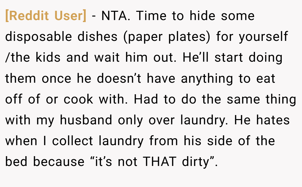 [Reddit User] − NTA. Time to hide some disposable dishes (paper plates) for yourself /the kids and wait him out. He’ll start doing them once he doesn’t have anything to eat off of or cook with. Had to do the same thing with my husband only over laundry. He hates when I collect laundry from his side of the bed because “it’s not THAT dirty”.