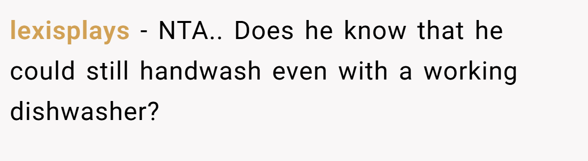 lexisplays − NTA.. Does he know that he could still handwash even with a working dishwasher?