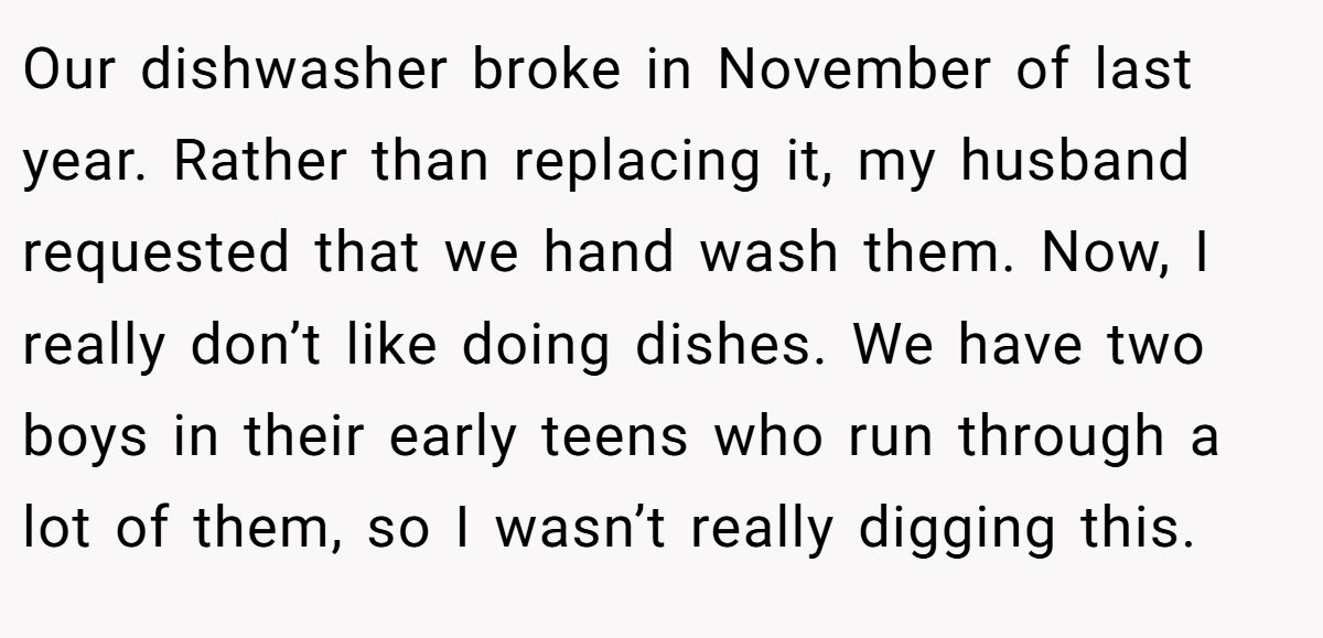 Our dishwasher broke in November of last year. Rather than replacing it, my husband requested that we hand wash them. Now, I really don’t like doing dishes. We have two boys in their early teens who run through a lot of them, so I wasn’t really digging this.