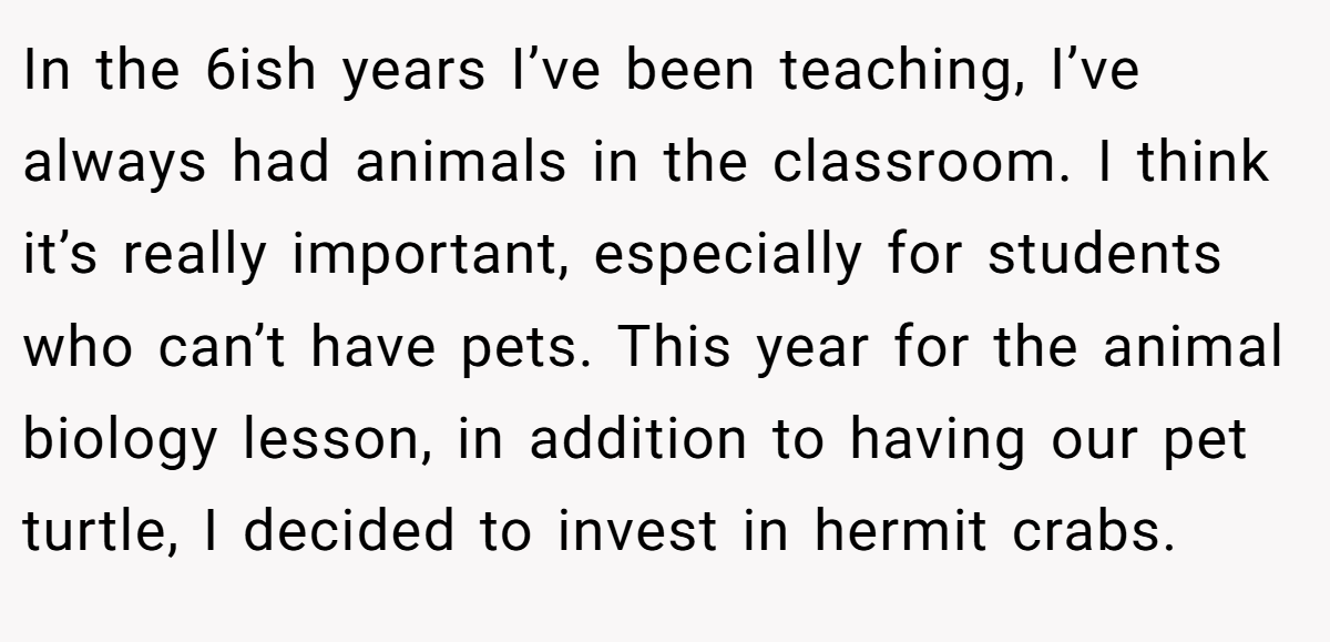 In the 6ish years I’ve been teaching, I’ve always had animals in the classroom. I think it’s really important, especially for students who can’t have pets. This year for the animal biology lesson, in addition to having our pet turtle, I decided to invest in hermit crabs.