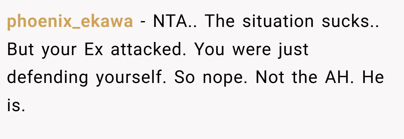 phoenix_ekawa - NTA.. The situation sucks.. But your Ex attacked. You were just defending yourself. So nope. Not the AH. He is.