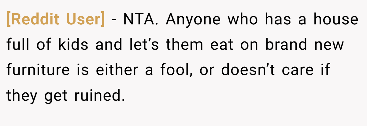 [Reddit User] − NTA. Anyone who has a house full of kids and let’s them eat on brand new furniture is either a fool, or doesn’t care if they get ruined.