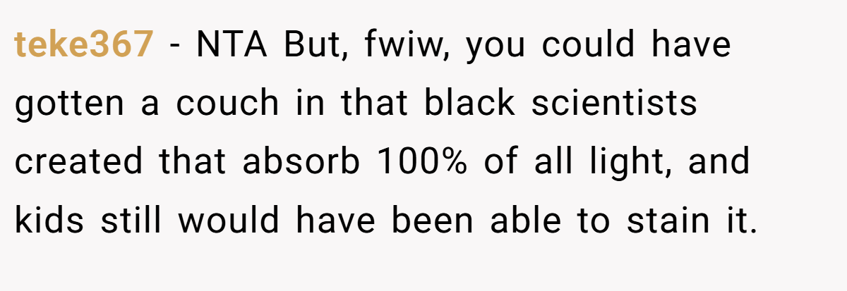 teke367 − NTA But, fwiw, you could have gotten a couch in that black scientists created that absorb 100% of all light, and kids still would have been able to stain it.