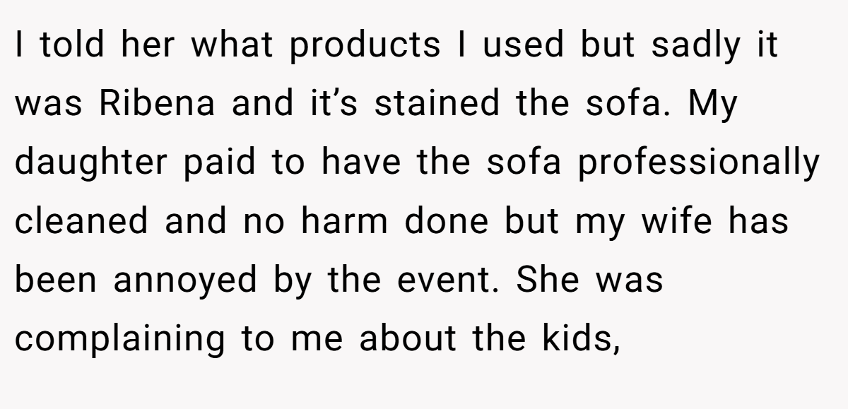 I told her what products I used but sadly it was Ribena and it’s stained the sofa. My daughter paid to have the sofa professionally cleaned and no harm done but my wife has been annoyed by the event. She was complaining to me about the kids,