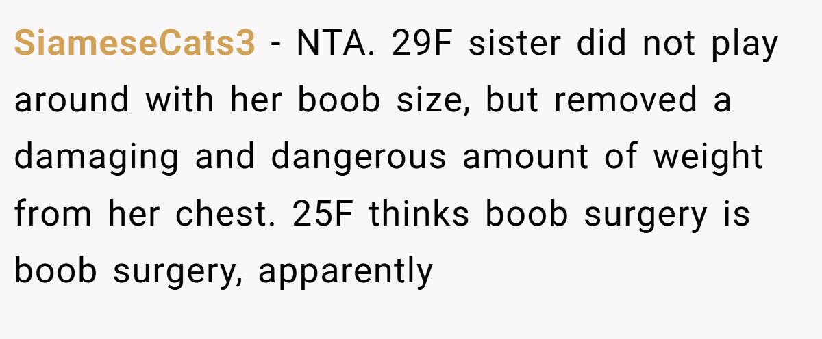SiameseCats3 − NTA. 29F sister did not play around with her boob size, but removed a damaging and dangerous amount of weight from her chest. 25F thinks boob surgery is boob surgery, apparently