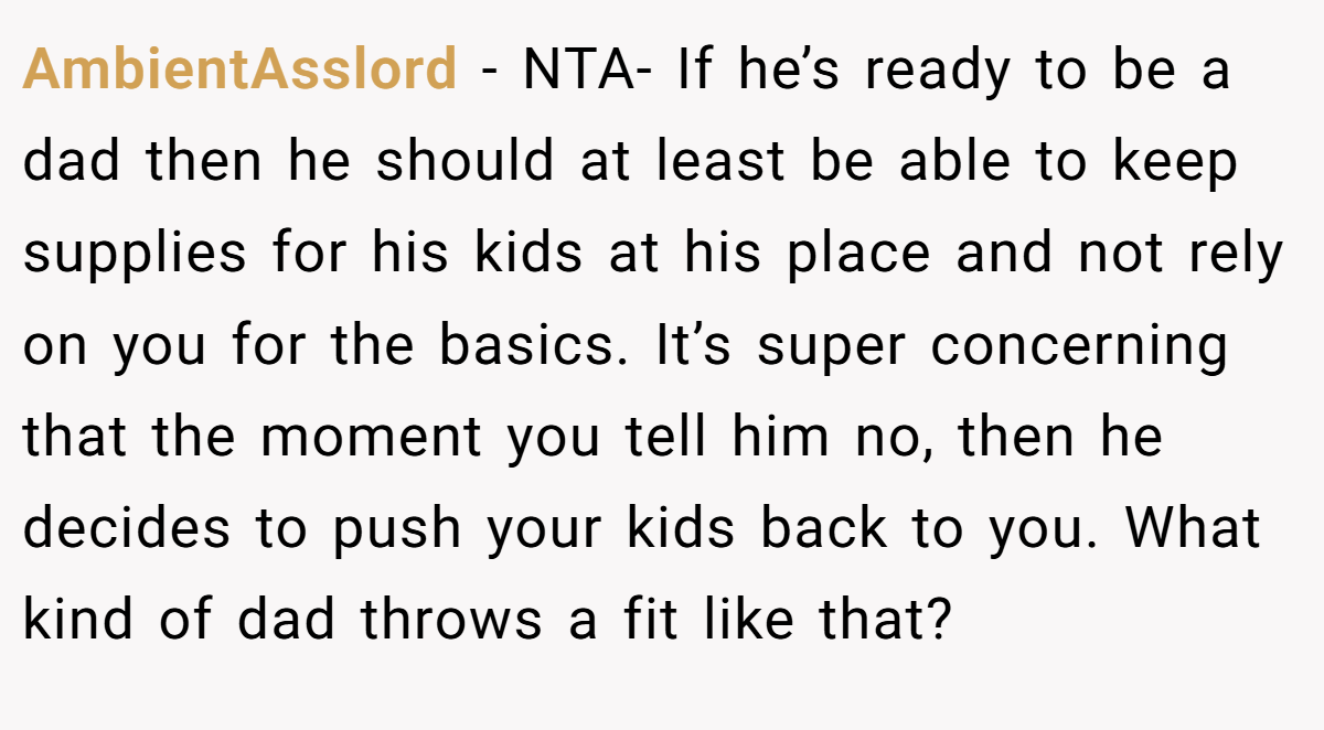 AmbientAsslord − NTA- If he’s ready to be a dad then he should at least be able to keep supplies for his kids at his place and not rely on you for the basics. It’s super concerning that the moment you tell him no, then he decides to push your kids back to you. What kind of dad throws a fit like that?