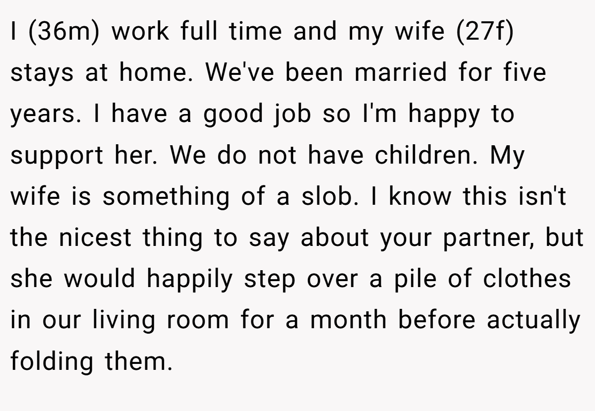 I (36m) work full time and my wife (27f) stays at home. We've been married for five years. I have a good job so I'm happy to support her. We do not have children. My wife is something of a slob. I know this isn't the nicest thing to say about your partner, but she would happily step over a pile of clothes in our living room for a month before actually folding them.