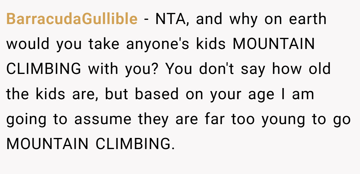 BarracudaGullible − NTA, and why on earth would you take anyone's kids MOUNTAIN CLIMBING with you? You don't say how old the kids are, but based on your age I am going to assume they are far too young to go MOUNTAIN CLIMBING.