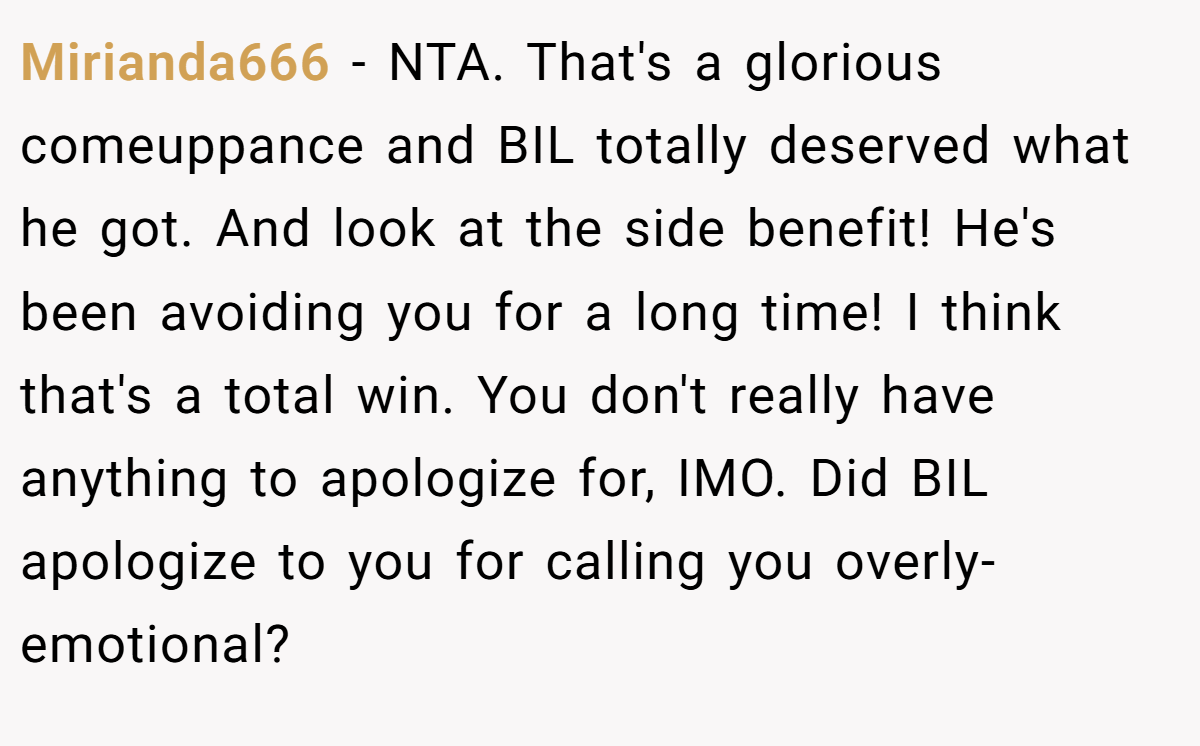 Mirianda666 − NTA. That's a glorious comeuppance and BIL totally deserved what he got. And look at the side benefit! He's been avoiding you for a long time! I think that's a total win. You don't really have anything to apologize for, IMO. Did BIL apologize to you for calling you overly-emotional?