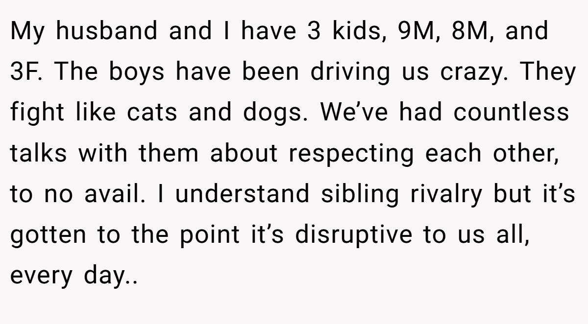 My husband and I have 3 kids, 9M, 8M, and 3F. The boys have been driving us crazy. They fight like cats and dogs. We’ve had countless talks with them about respecting each other, to no avail. I understand sibling rivalry but it’s gotten to the point it’s disruptive to us all, every day..