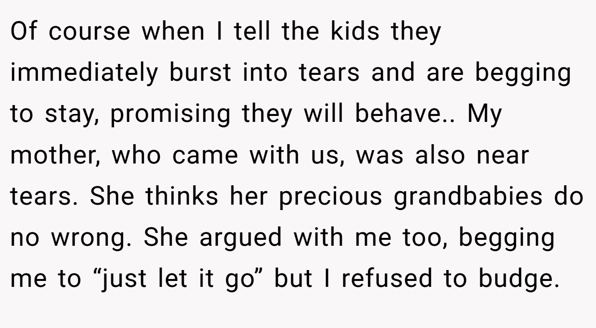 Of course when I tell the kids they immediately burst into tears and are begging to stay, promising they will behave.. My mother, who came with us, was also near tears. She thinks her precious grandbabies do no wrong. She argued with me too, begging me to “just let it go” but I refused to budge.