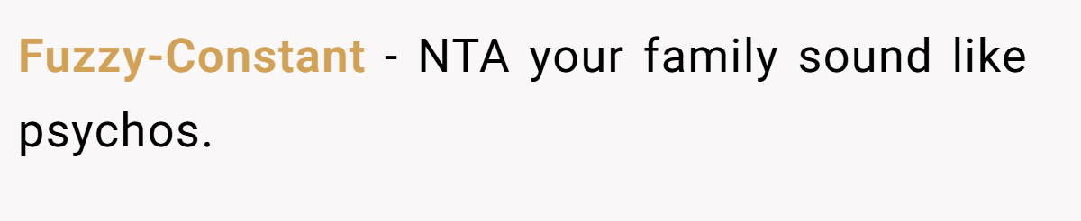 Fuzzy-Constant − NTA your family sound like psychos.