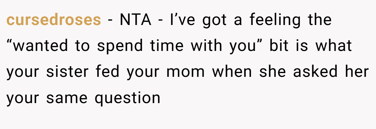 cursedroses − NTA - I’ve got a feeling the “wanted to spend time with you” bit is what your sister fed your mom when she asked her your same question