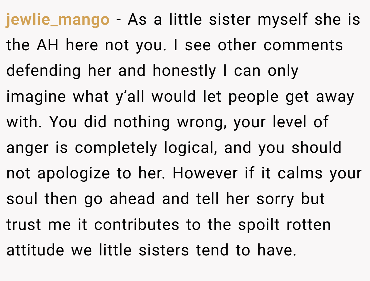 jewlie_mango − As a little sister myself she is the AH here not you. I see other comments defending her and honestly I can only imagine what y’all would let people get away with. You did nothing wrong, your level of anger is completely logical, and you should not apologize to her. However if it calms your soul then go ahead and tell her sorry but trust me it contributes to the spoilt rotten attitude we little sisters tend to have.