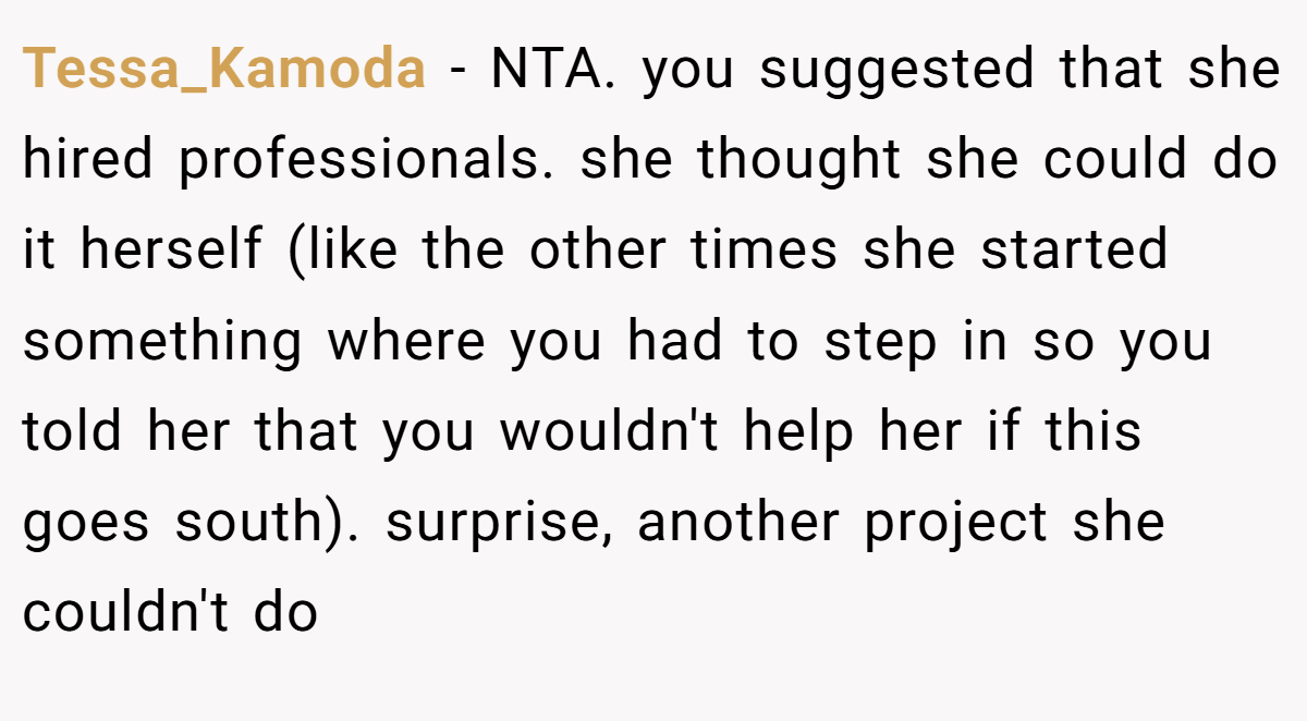 Tessa_Kamoda − NTA. you suggested that she hired professionals. she thought she could do it herself (like the other times she started something where you had to step in so you told her that you wouldn't help her if this goes south). surprise, another project she couldn't do