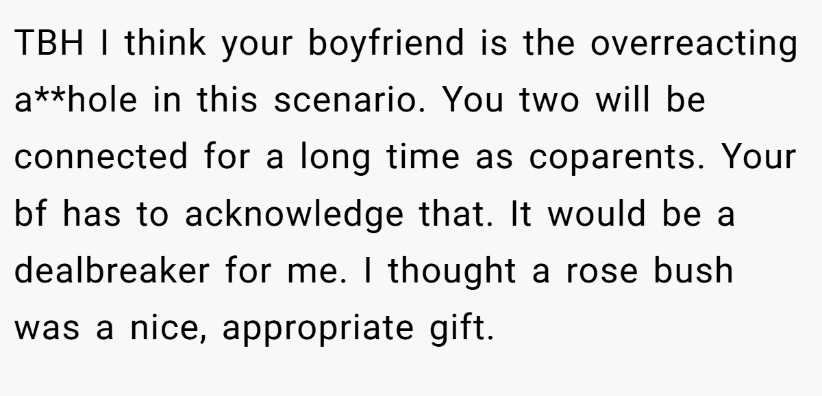 TBH I think your boyfriend is the overreacting a**hole in this scenario. You two will be connected for a long time as coparents. Your bf has to acknowledge that. It would be a dealbreaker for me. I thought a rose bush was a nice, appropriate gift.