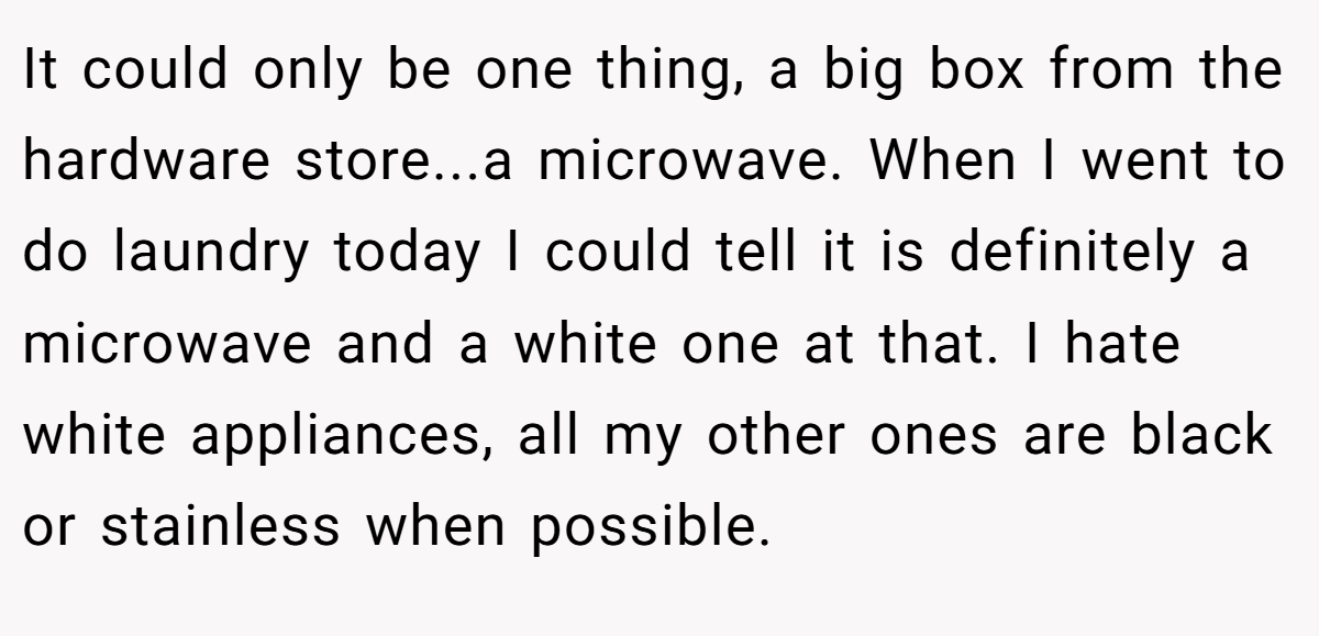 It could only be one thing, a big box from the hardware store...a microwave. When I went to do laundry today I could tell it is definitely a microwave and a white one at that. I hate white appliances, all my other ones are black or stainless when possible. 