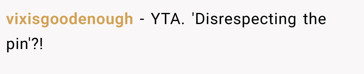 vixisgoodenough − YTA. 'Disrespecting the pin'?!