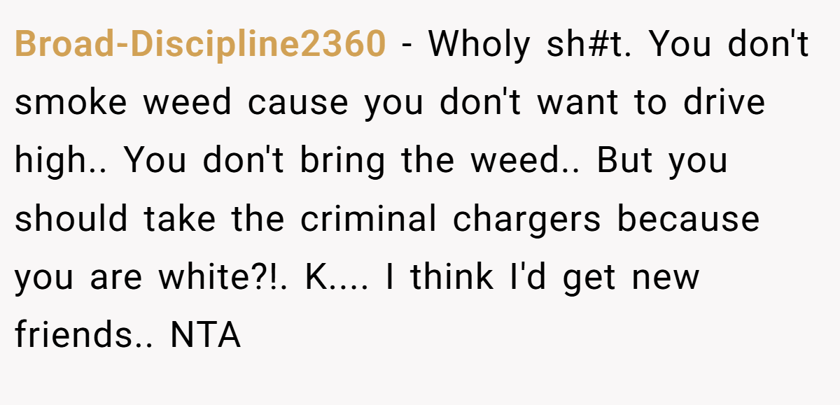 Broad-Discipline2360 − Wholy sh#t. You don't smoke weed cause you don't want to drive high.. You don't bring the weed.. But you should take the criminal chargers because you are white?!. K.... I think I'd get new friends.. NTA