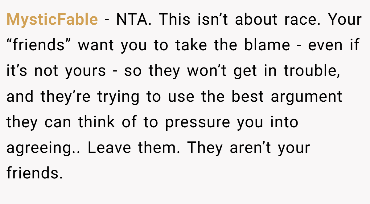 MysticFable − NTA. This isn’t about race. Your “friends” want you to take the blame - even if it’s not yours - so they won’t get in trouble, and they’re trying to use the best argument they can think of to pressure you into agreeing.. Leave them. They aren’t your friends.