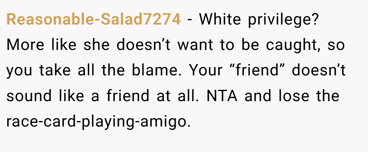 Reasonable-Salad7274 − White privilege? More like she doesn’t want to be caught, so you take all the blame. Your “friend” doesn’t sound like a friend at all. NTA and lose the race-card-playing-amigo.