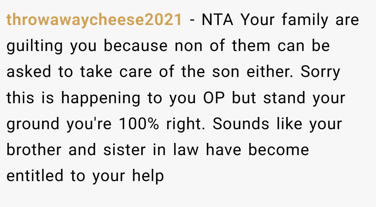throwawaycheese2021 - NTA Your family are guilting you because non of them can be asked to take care of the son either. Sorry this is happening to you OP but stand your ground you're 100% right. Sounds like your brother and sister in law have become entitled to your help