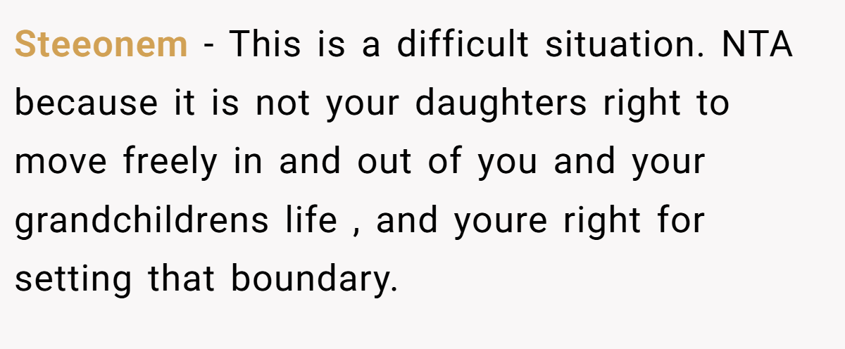 Steeonem − This is a difficult situation. NTA because it is not your daughters right to move freely in and out of you and your grandchildrens life , and youre right for setting that boundary.