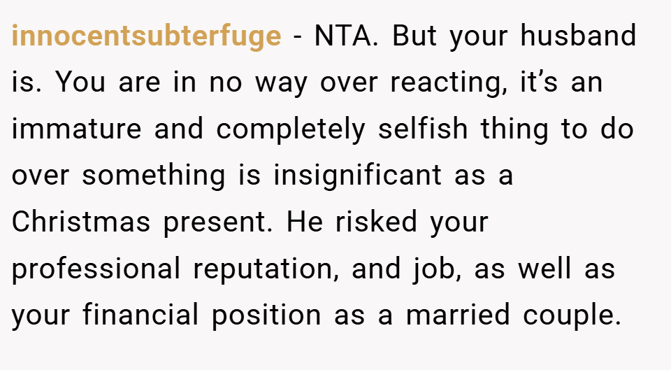 innocentsubterfuge − NTA. But your husband is. You are in no way over reacting, it’s an immature and completely selfish thing to do over something is insignificant as a Christmas present. He risked your professional reputation, and job, as well as your financial position as a married couple.