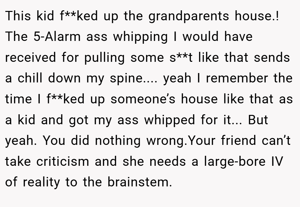 This kid f**ked up the grandparents house.! The 5-Alarm ass whipping I would have received for pulling some s**t like that sends a chill down my spine.... yeah I remember the time I f**ked up someone’s house like that as a kid and got my ass whipped for it... But yeah. You did nothing wrong.Your friend can’t take criticism and she needs a large-bore IV of reality to the brainstem.