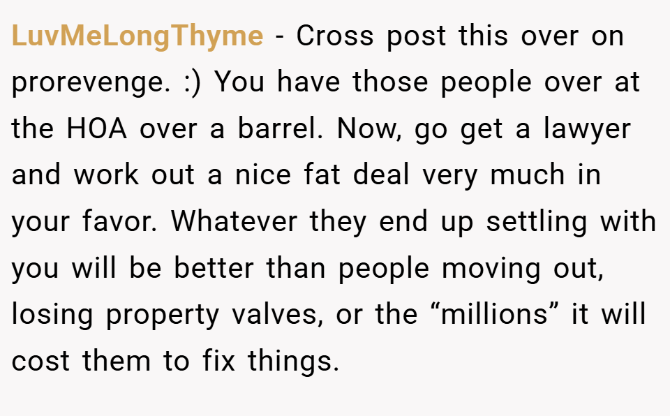 LuvMeLongThyme − Cross post this over on prorevenge. :) You have those people over at the HOA over a barrel. Now, go get a lawyer and work out a nice fat deal very much in your favor. Whatever they end up settling with you will be better than people moving out, losing property valves, or the “millions” it will cost them to fix things.