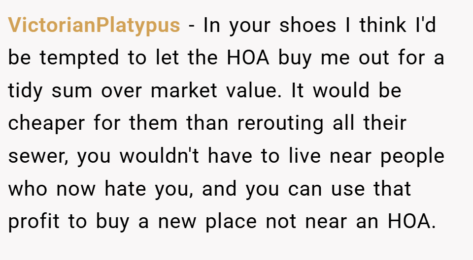 VictorianPlatypus − In your shoes I think I'd be tempted to let the HOA buy me out for a tidy sum over market value. It would be cheaper for them than rerouting all their sewer, you wouldn't have to live near people who now hate you, and you can use that profit to buy a new place not near an HOA.