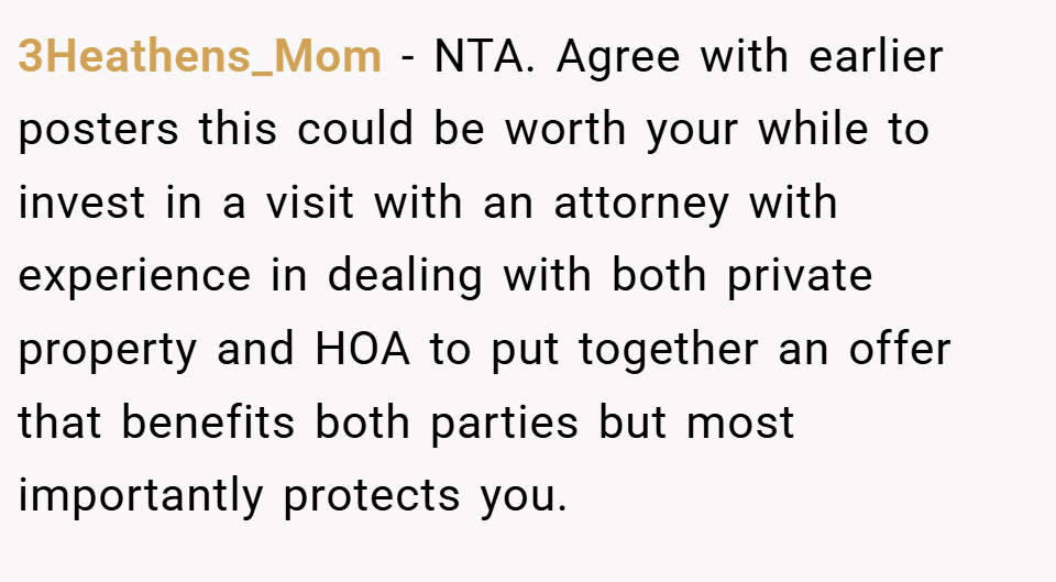 3Heathens_Mom − NTA. Agree with earlier posters this could be worth your while to invest in a visit with an attorney with experience in dealing with both private property and HOA to put together an offer that benefits both parties but most importantly protects you.