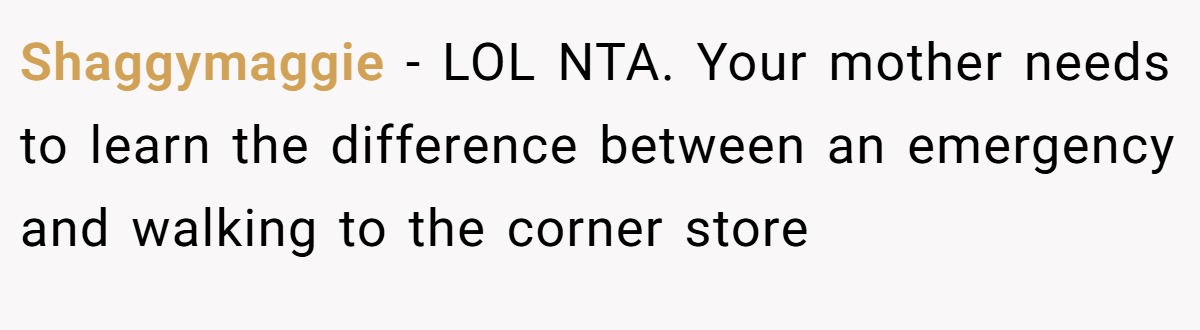 Shaggymaggie − LOL NTA. Your mother needs to learn the difference between an emergency and walking to the corner store