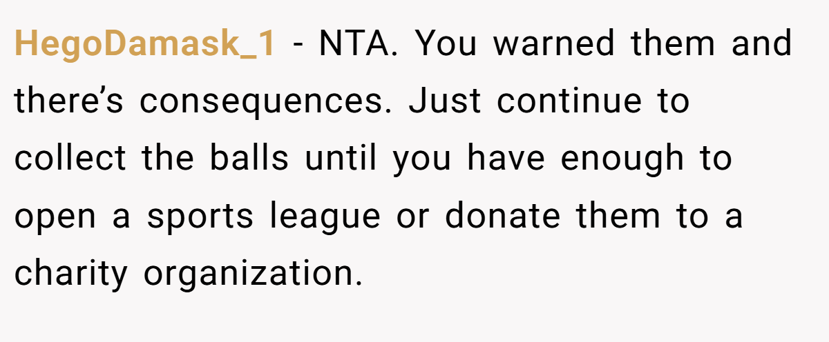 HegoDamask_1 − NTA. You warned them and there’s consequences. Just continue to collect the balls until you have enough to open a sports league or donate them to a charity organization.