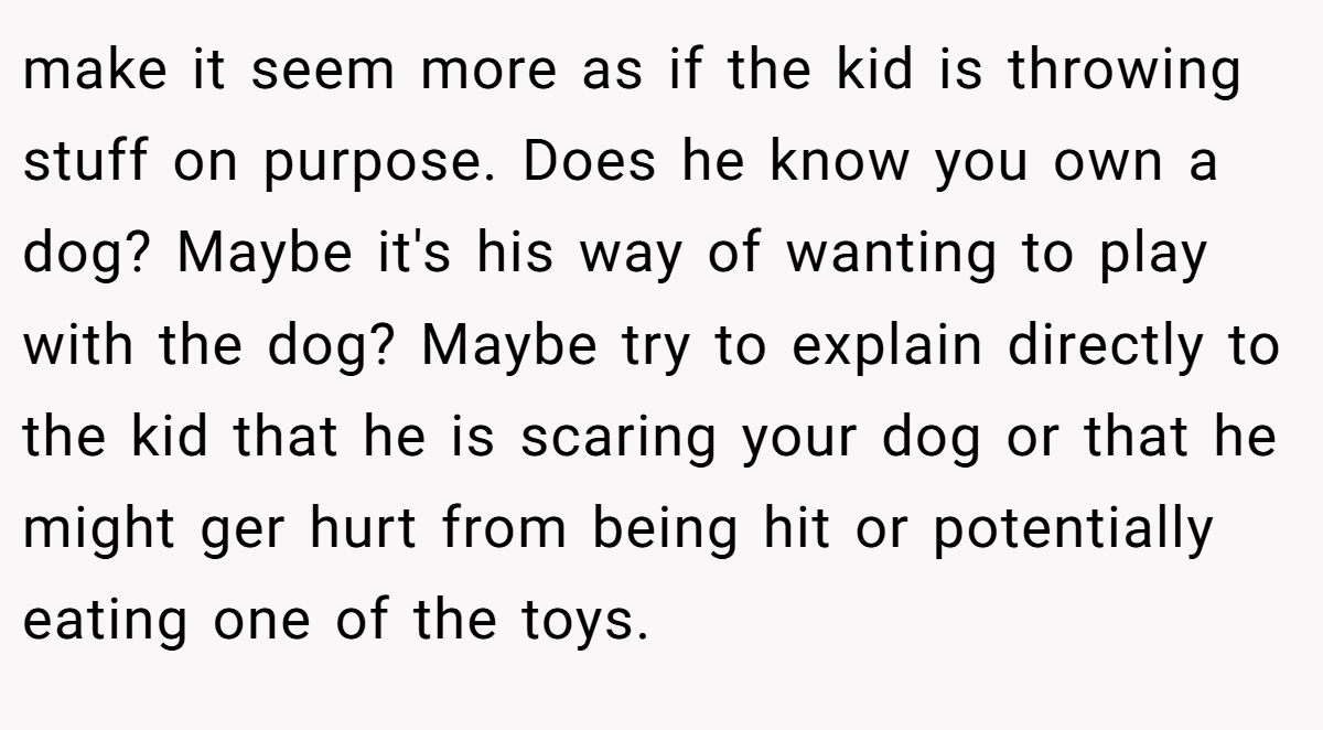 make it seem more as if the kid is throwing stuff on purpose. Does he know you own a dog? Maybe it's his way of wanting to play with the dog? Maybe try to explain directly to the kid that he is scaring your dog or that he might ger hurt from being hit or potentially eating one of the toys.