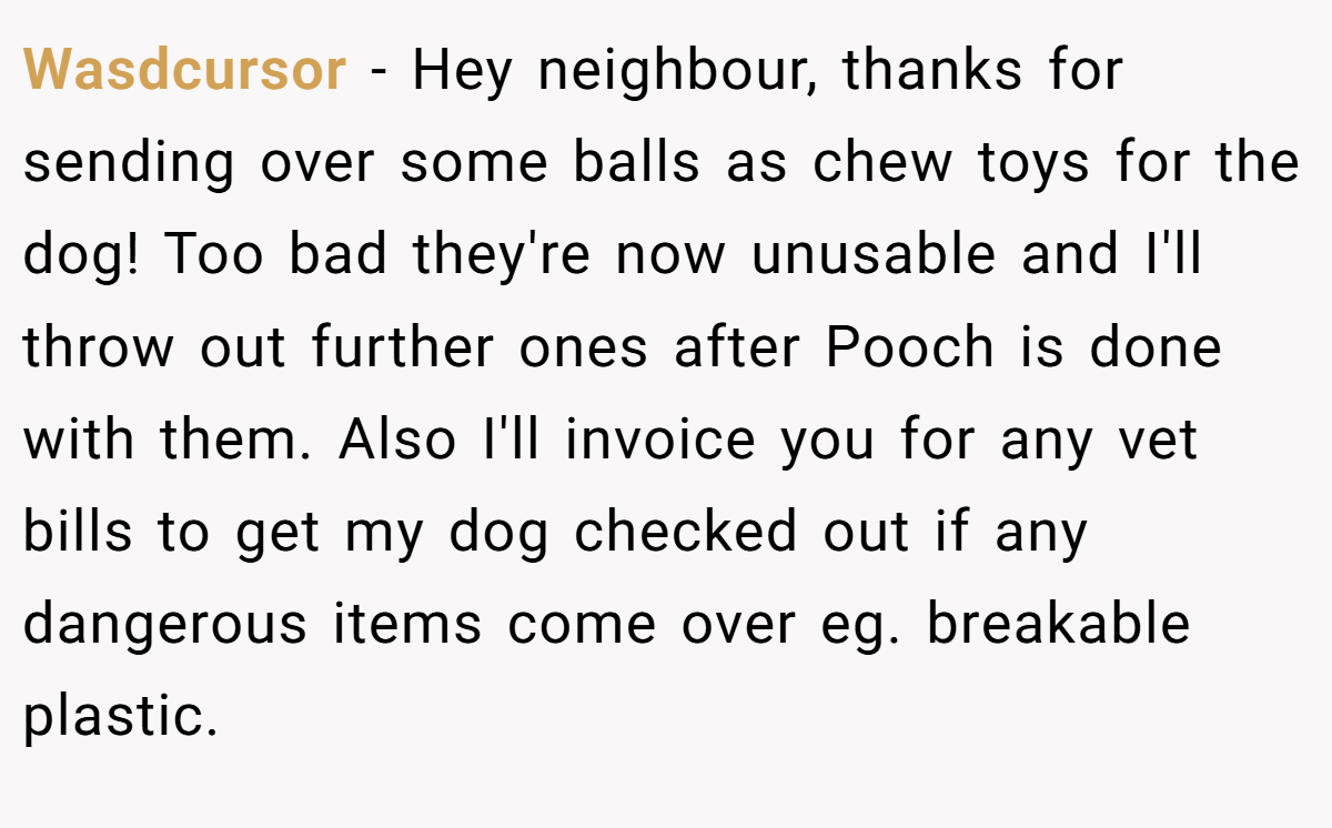 Wasdcursor − Hey neighbour, thanks for sending over some balls as chew toys for the dog! Too bad they're now unusable and I'll throw out further ones after Pooch is done with them. Also I'll invoice you for any vet bills to get my dog checked out if any dangerous items come over eg. breakable plastic.