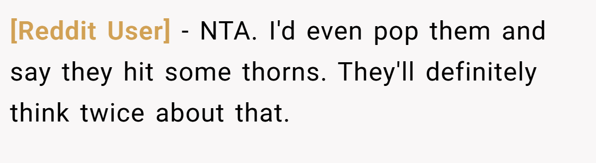 [Reddit User] − NTA. I'd even pop them and say they hit some thorns. They'll definitely think twice about that.