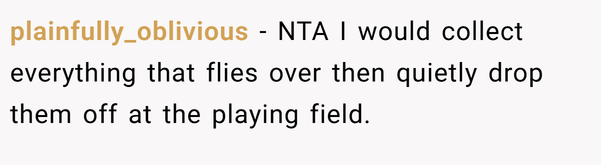 plainfully_oblivious − NTA I would collect everything that flies over then quietly drop them off at the playing field.