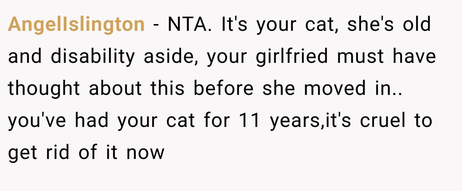 AngelIslington − NTA. It's your cat, she's old and disability aside, your girlfried must have thought about this before she moved in.. you've had your cat for 11 years,it's cruel to get rid of it now