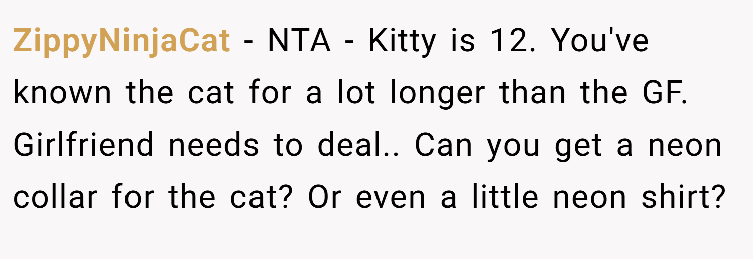 ZippyNinjaCat − NTA - Kitty is 12. You've known the cat for a lot longer than the GF. Girlfriend needs to deal.. Can you get a neon collar for the cat? Or even a little neon shirt?