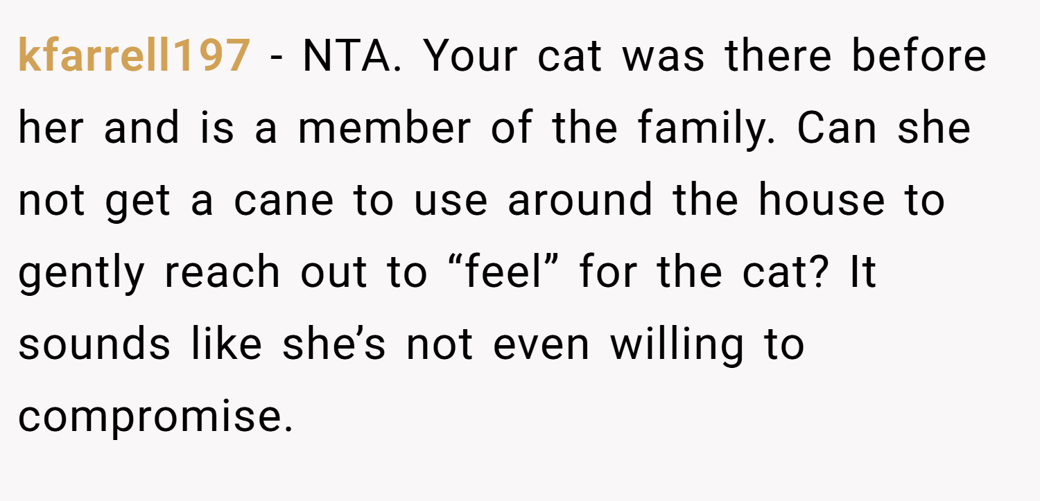 kfarrell197 − NTA. Your cat was there before her and is a member of the family. Can she not get a cane to use around the house to gently reach out to “feel” for the cat? It sounds like she’s not even willing to compromise.