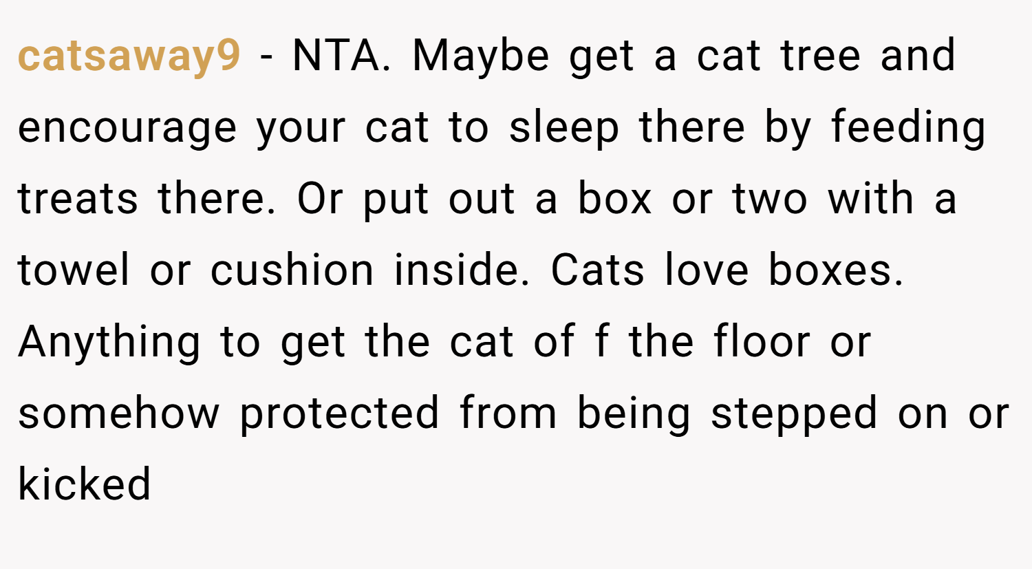 catsaway9 − NTA. Maybe get a cat tree and encourage your cat to sleep there by feeding treats there. Or put out a box or two with a towel or cushion inside. Cats love boxes. Anything to get the cat of f the floor or somehow protected from being stepped on or kicked