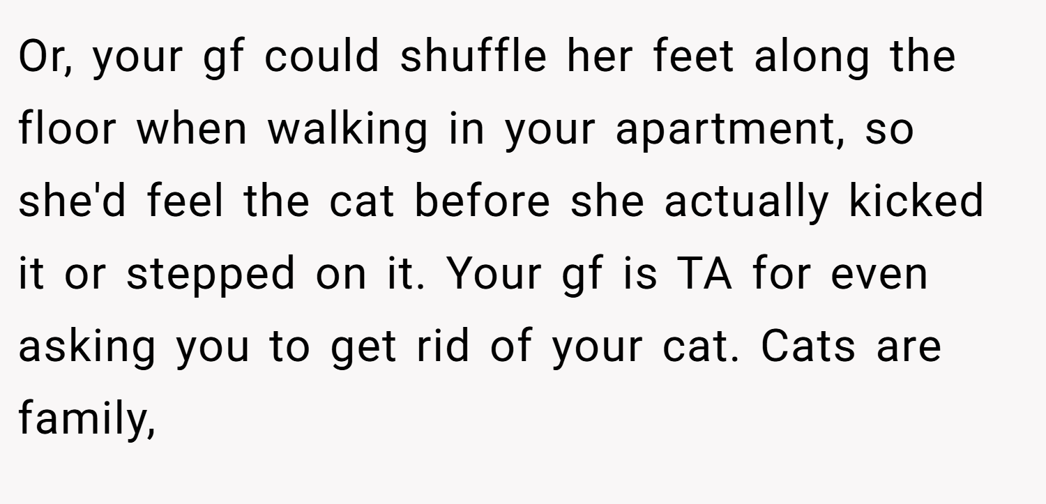 Or, your gf could shuffle her feet along the floor when walking in your apartment, so she'd feel the cat before she actually kicked it or stepped on it. Your gf is TA for even asking you to get rid of your cat. Cats are family,