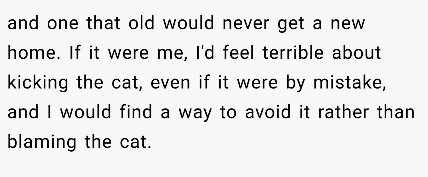 and one that old would never get a new home. If it were me, I'd feel terrible about kicking the cat, even if it were by mistake, and I would find a way to avoid it rather than blaming the cat.