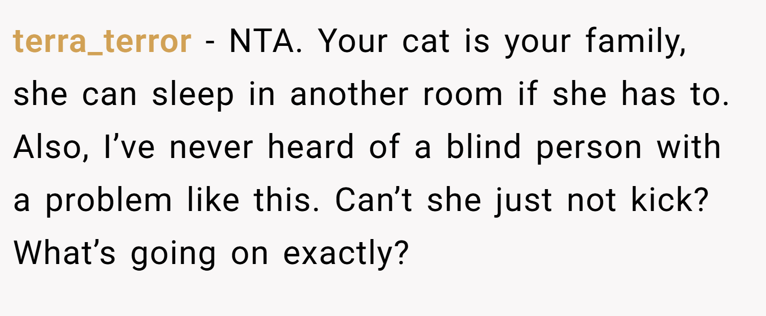 terra_terror − NTA. Your cat is your family, she can sleep in another room if she has to. Also, I’ve never heard of a blind person with a problem like this. Can’t she just not kick? What’s going on exactly?