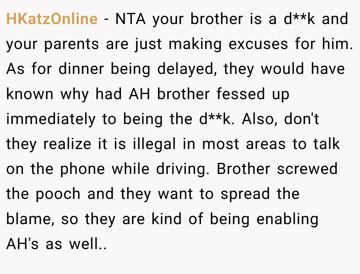 HKatzOnline − NTA your brother is a d**k and your parents are just making excuses for him. As for dinner being delayed, they would have known why had AH brother fessed up immediately to being the d**k. Also, don't they realize it is illegal in most areas to talk on the phone while driving. Brother screwed the pooch and they want to spread the blame, so they are kind of being enabling AH's as well..