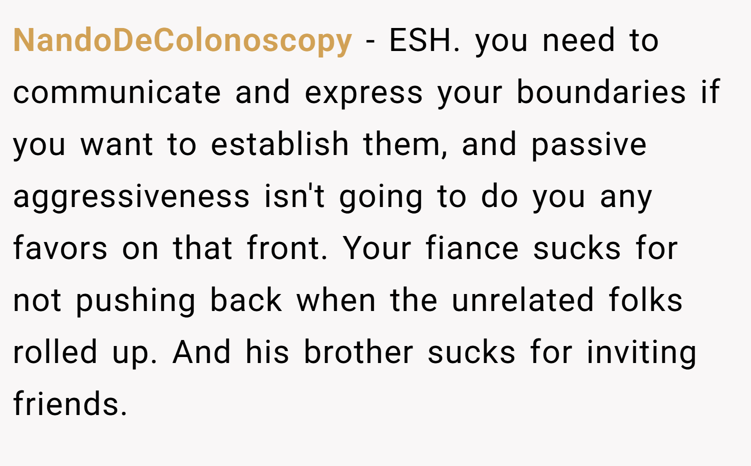 NandoDeColonoscopy − ESH. you need to communicate and express your boundaries if you want to establish them, and passive aggressiveness isn't going to do you any favors on that front. Your fiance sucks for not pushing back when the unrelated folks rolled up. And his brother sucks for inviting friends.