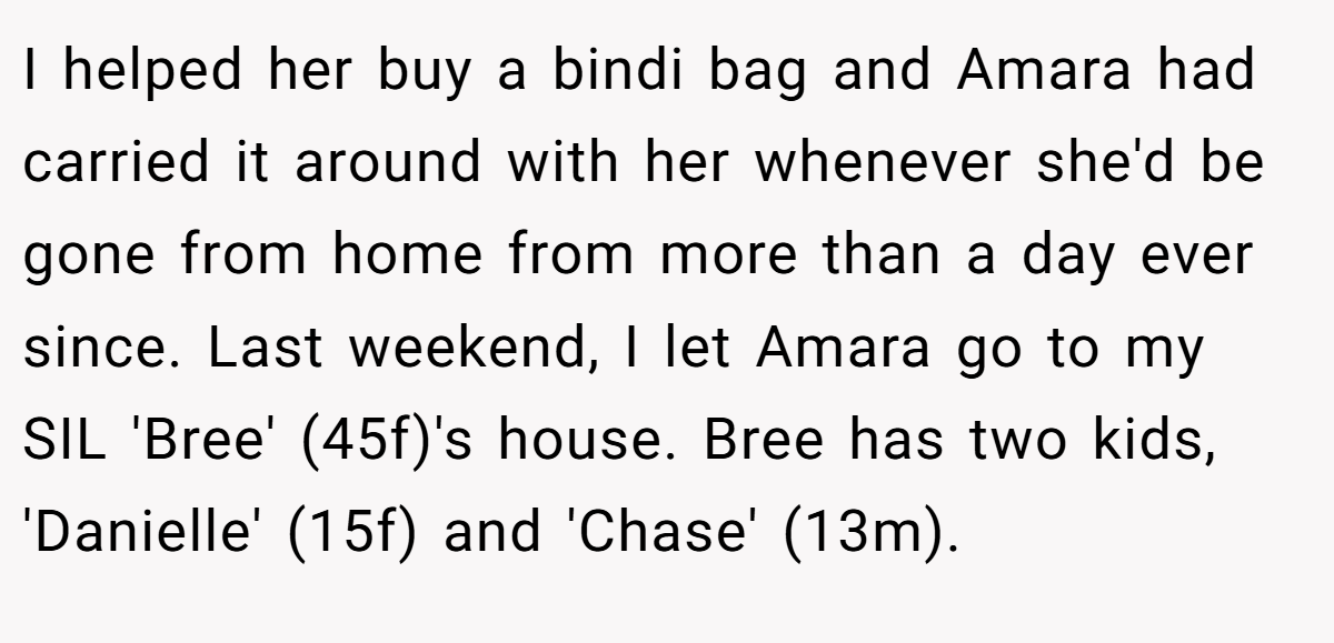 I helped her buy a bindi bag and Amara had carried it around with her whenever she'd be gone from home from more than a day ever since. Last weekend, I let Amara go to my SIL 'Bree' (45f)'s house. Bree has two kids, 'Danielle' (15f) and 'Chase' (13m).