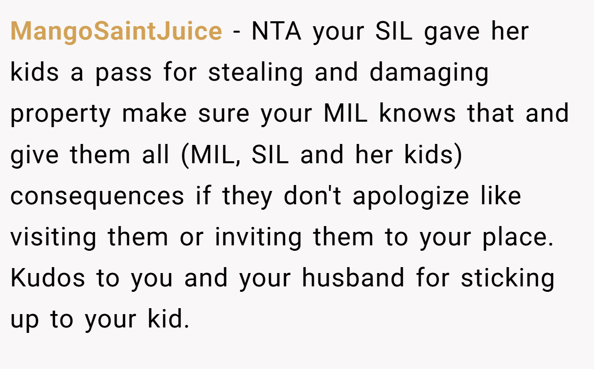 MangoSaintJuice − NTA your SIL gave her kids a pass for stealing and damaging property make sure your MIL knows that and give them all (MIL, SIL and her kids) consequences if they don't apologize like visiting them or inviting them to your place. Kudos to you and your husband for sticking up to your kid.