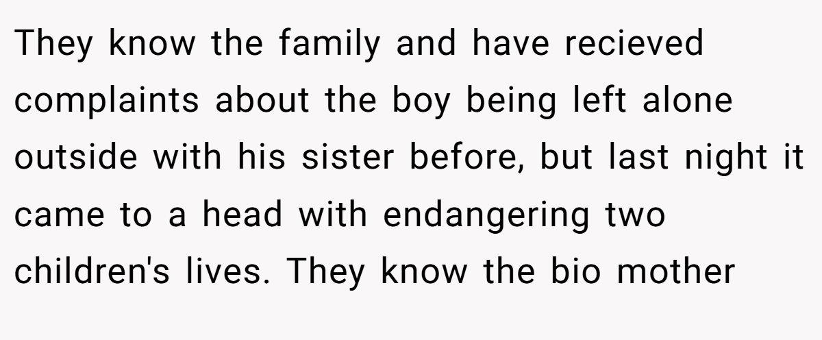 They know the family and have recieved complaints about the boy being left alone outside with his sister before, but last night it came to a head with endangering two children's lives. They know the bio mother